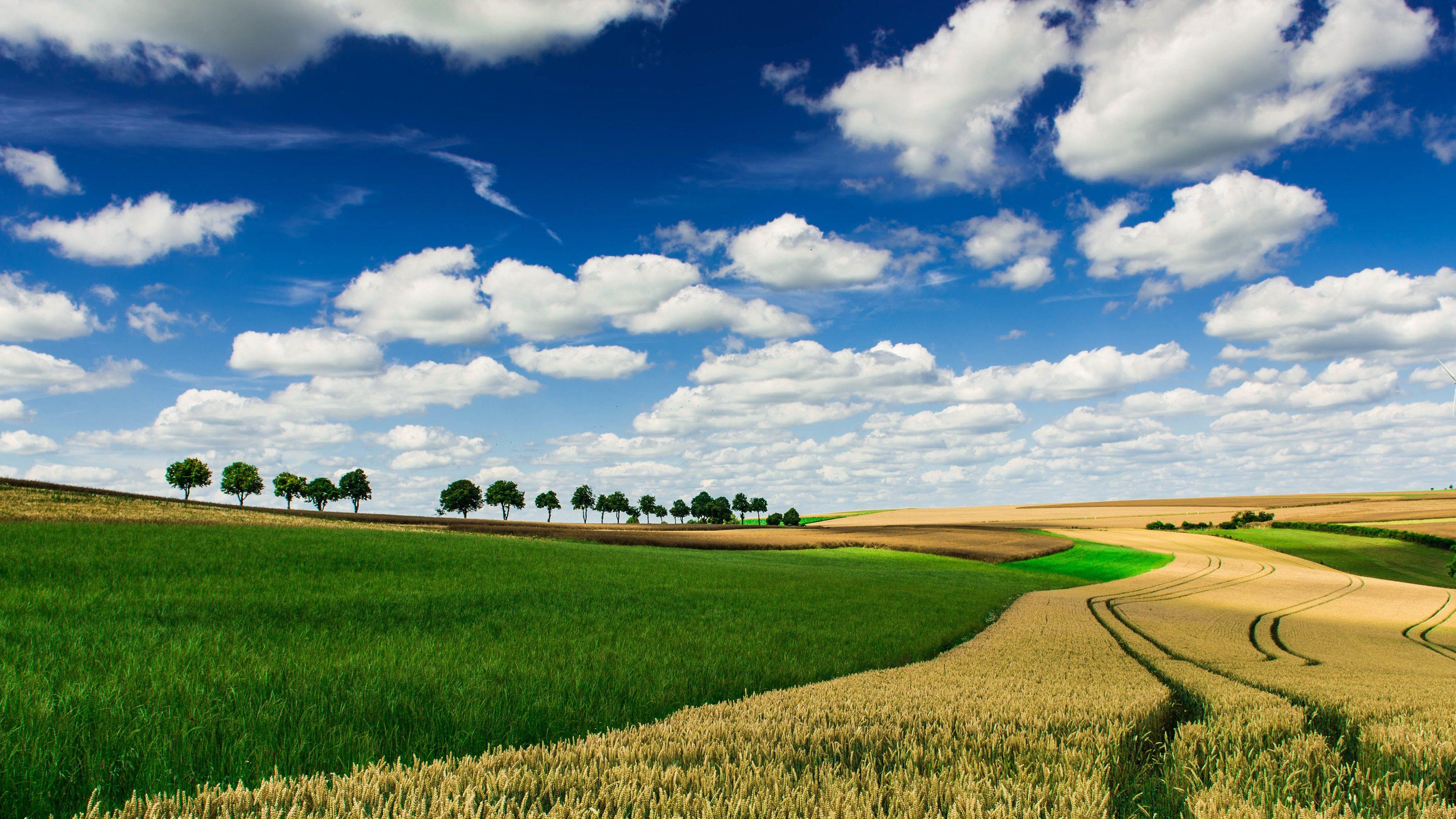 Farm Field Nature 4K Wallpapers - Top Free Farm Field Nature 4K