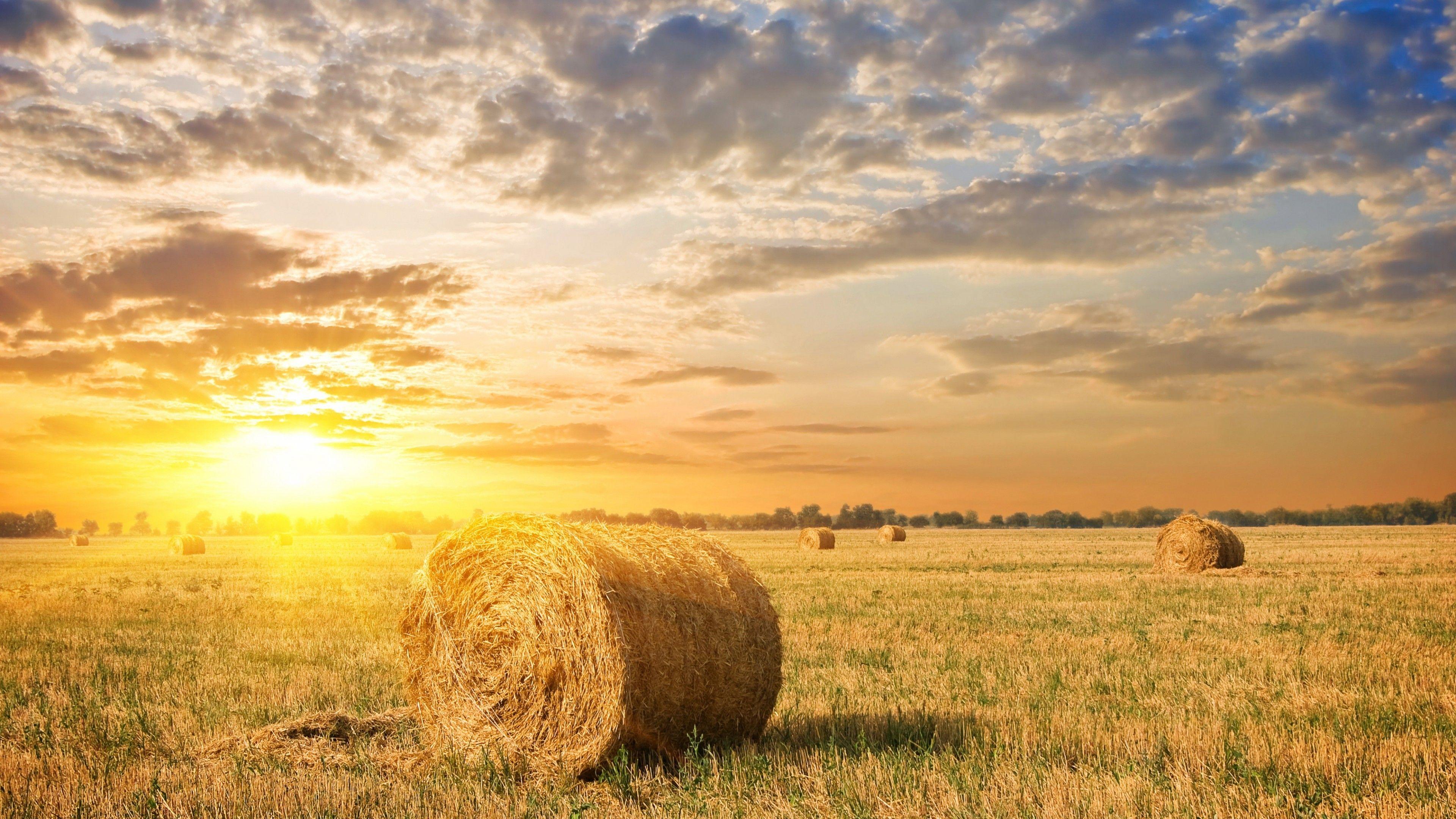 3840X2160 Farm Wallpapers Top Free 3840X2160 Farm Backgrounds