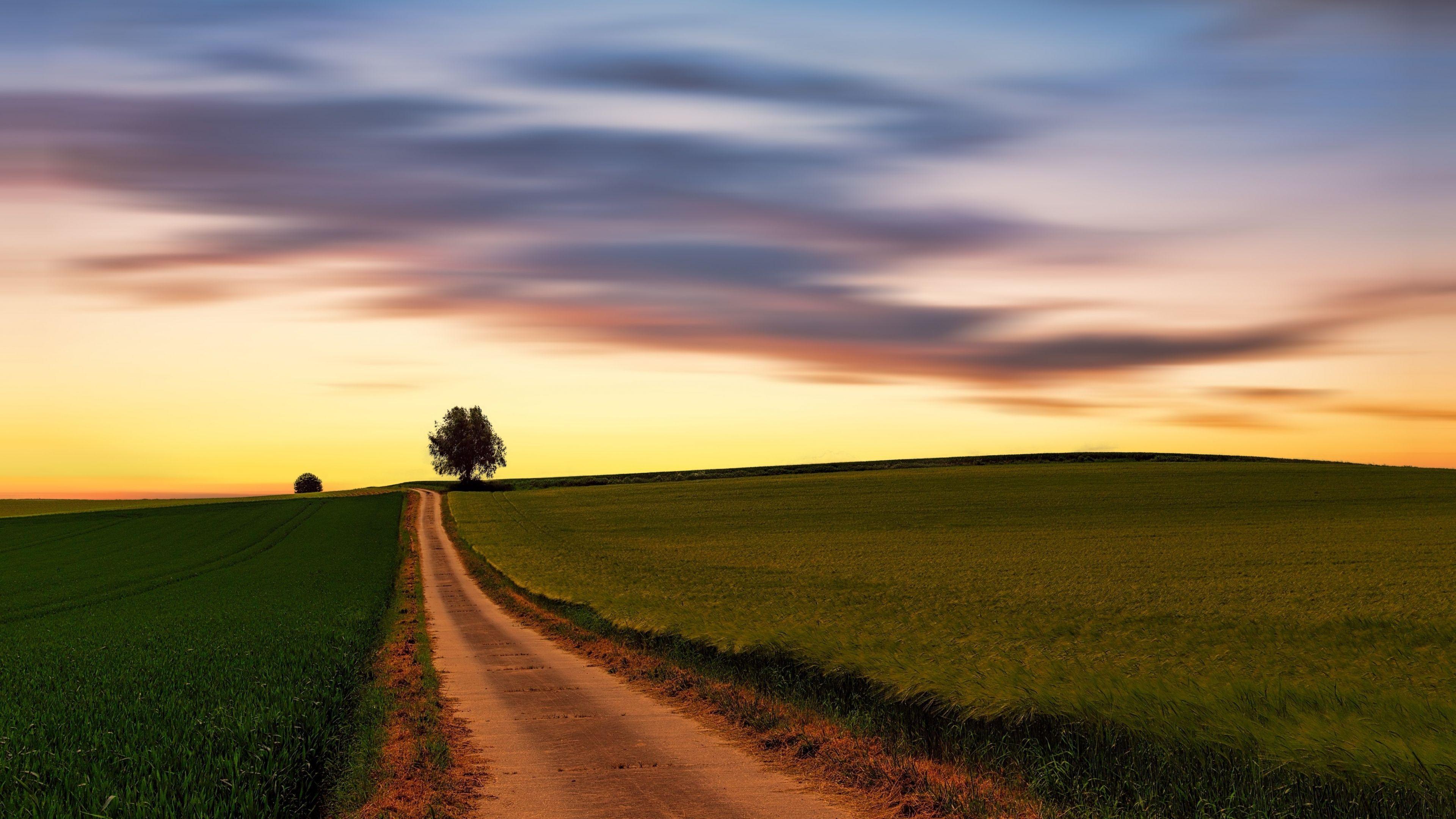 3840x2160 Download 3840x2160 wallpaper sunset, skyline, clean sky, wheat