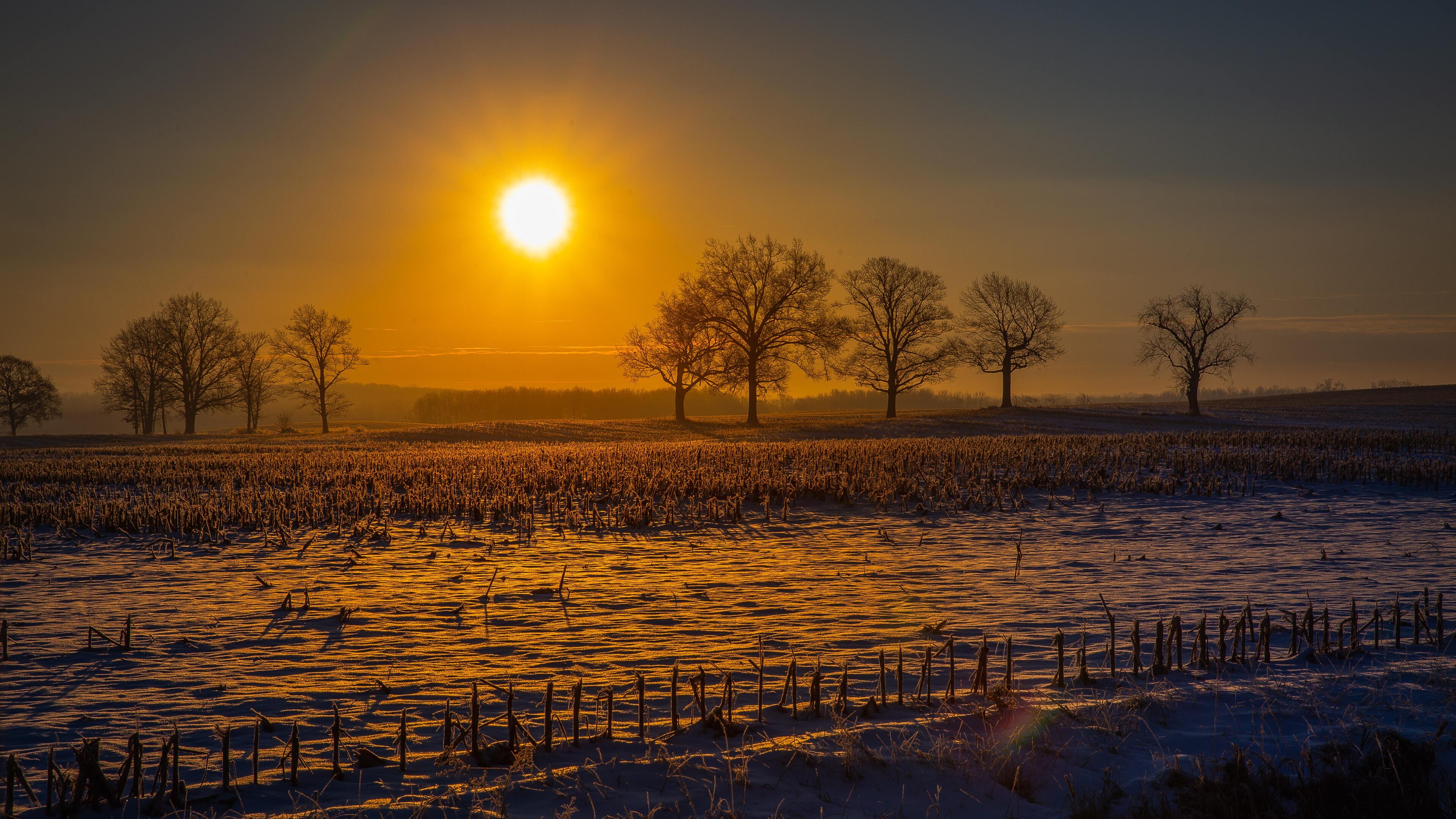 3840X2160 Farm Wallpapers - Top Free 3840X2160 Farm Backgrounds
