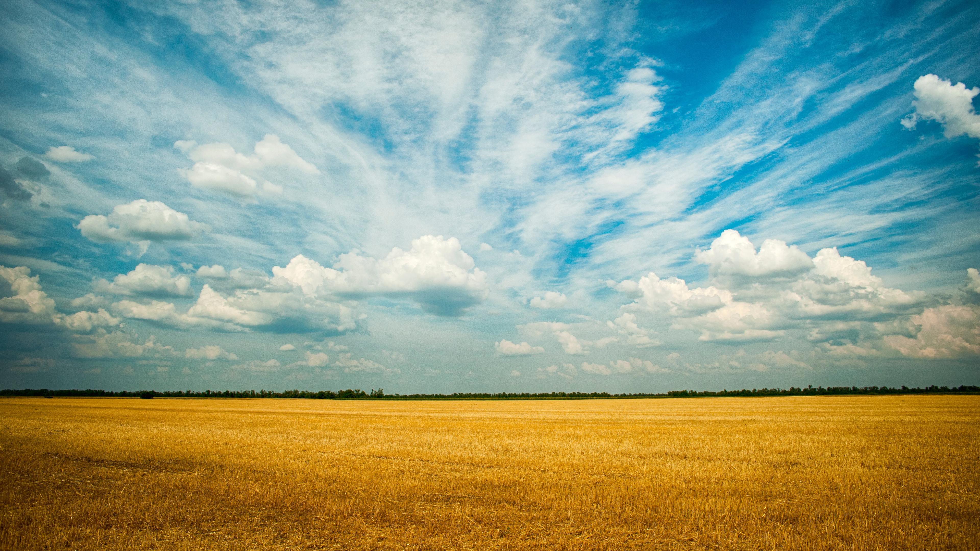 3840x2160 Wallpaper 4k Yellow Grass Field 4k 4k Wallpaper, Farm Wallpaper