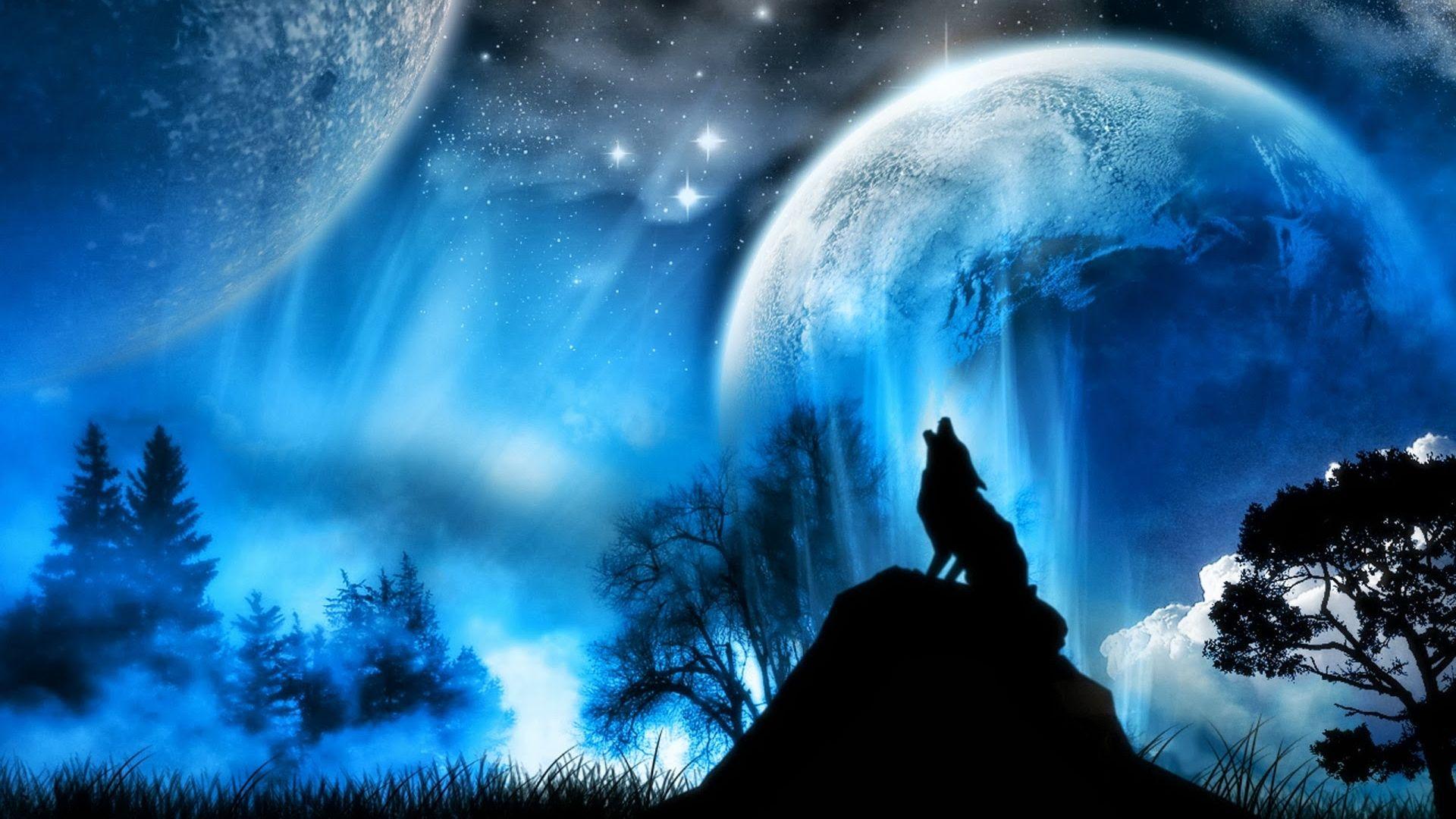 1920x1080 Free download Winter Wolf [1920x1200] for your Desktop, Mobile