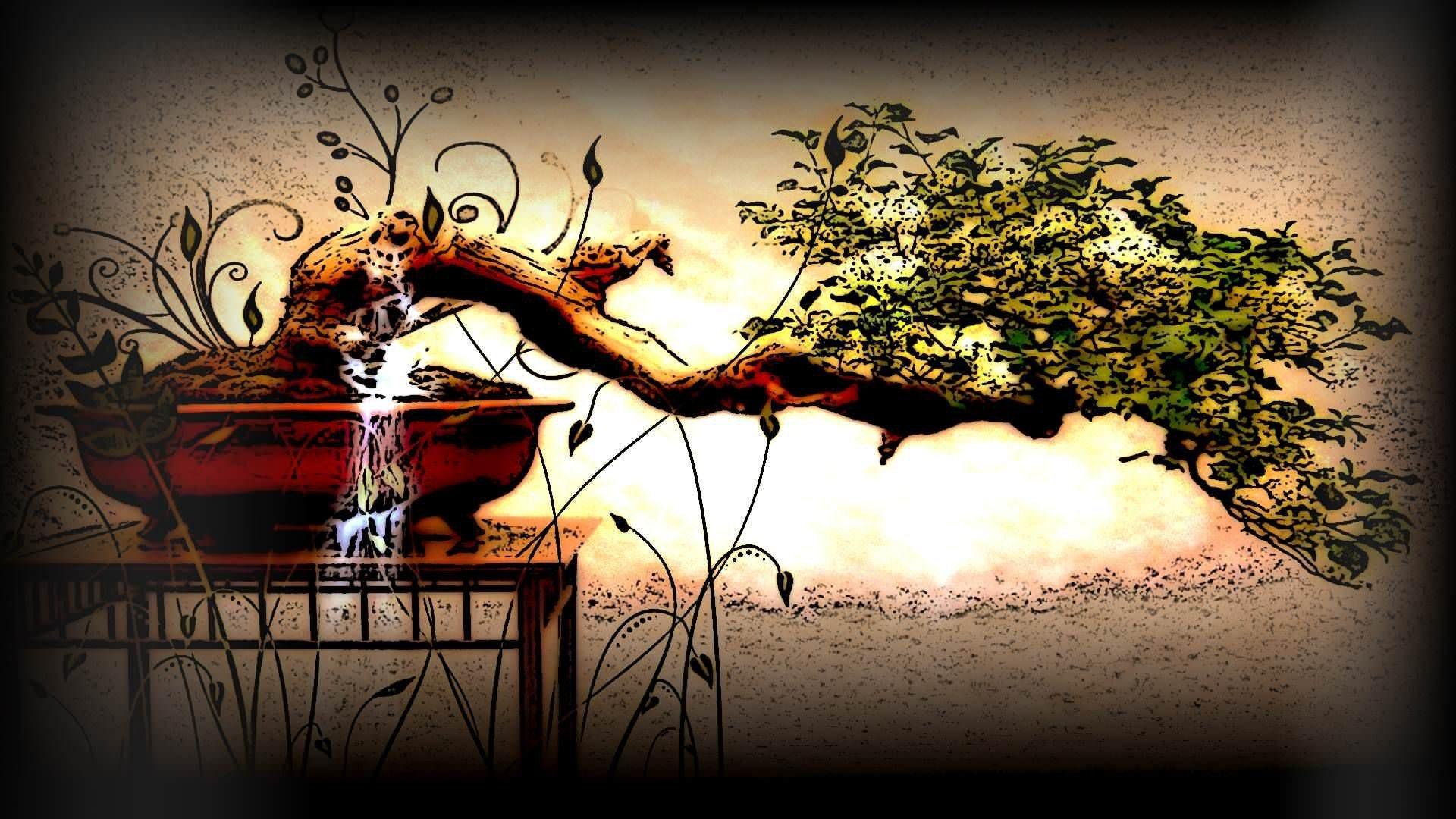 1920x1080 Bonsai Tree Wallpaper Desktop HD [1920*1080]