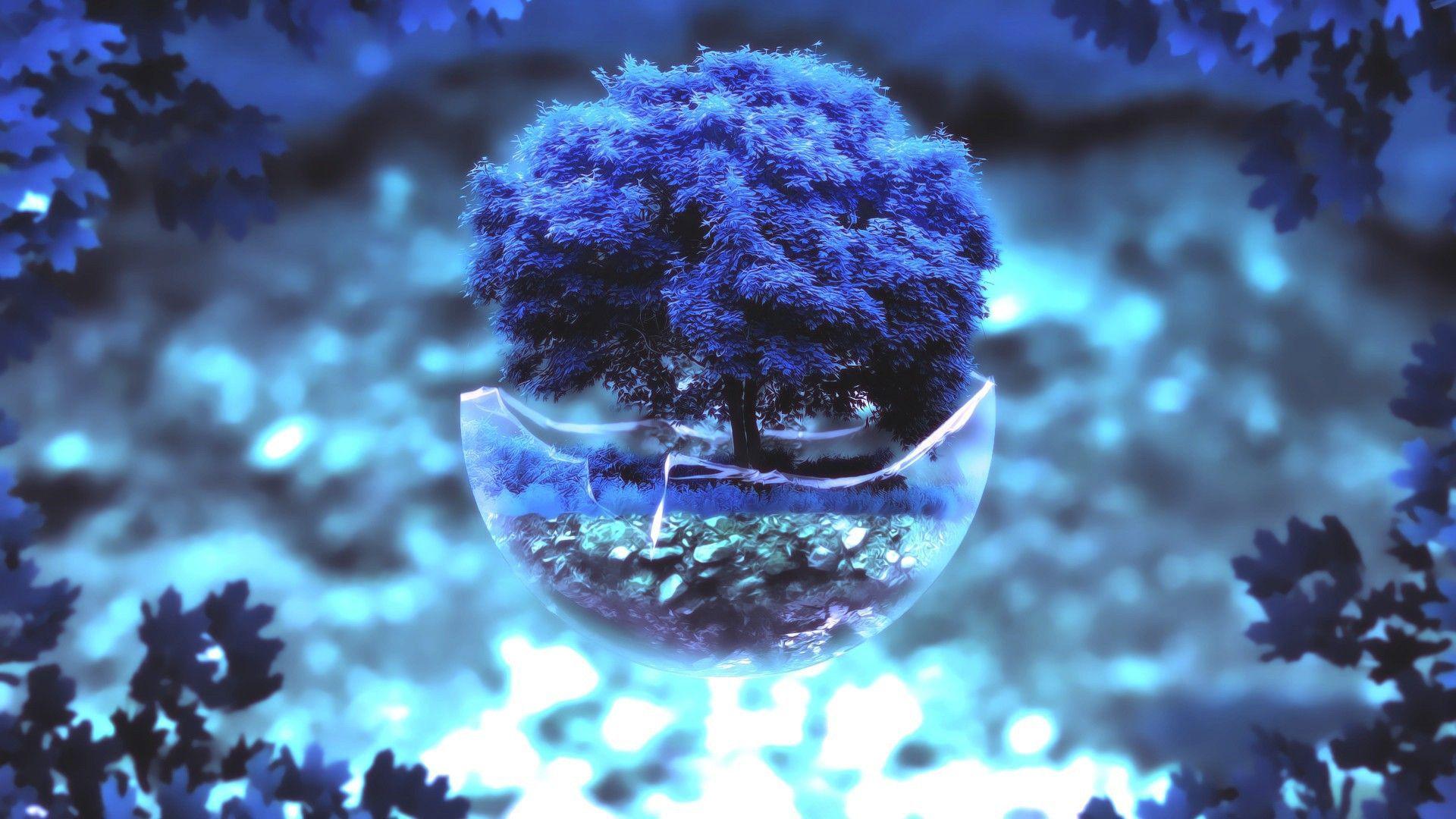 1920x1080 Bonsai Tree for Desktop Wallpaper