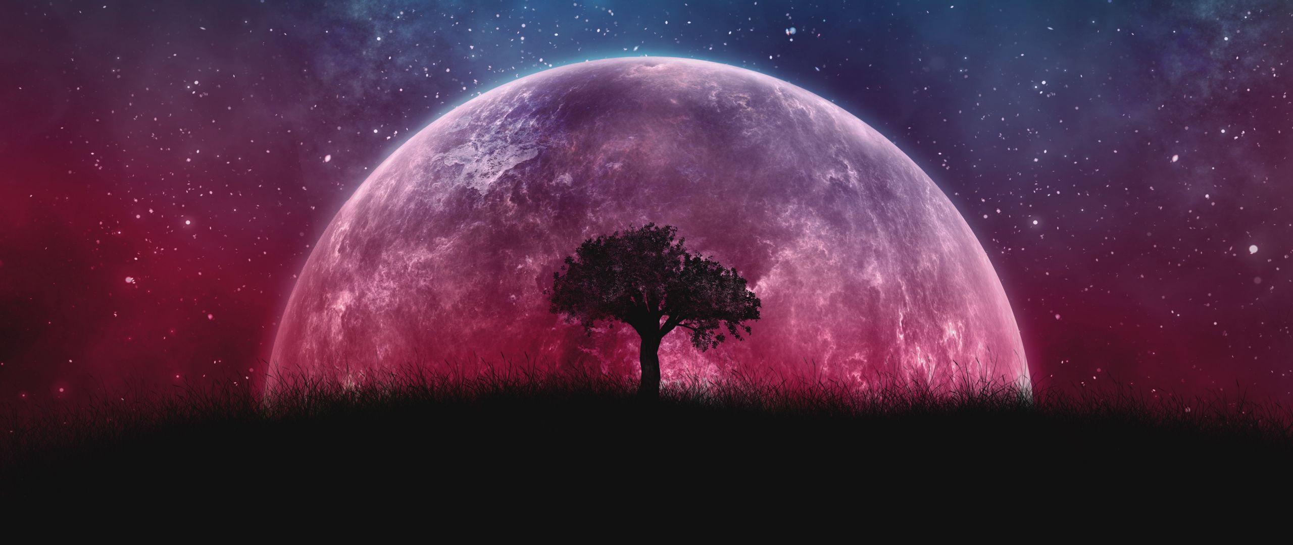 2560x1080 Download Planet, tree, moon, galaxy, stars, sky, silhouette