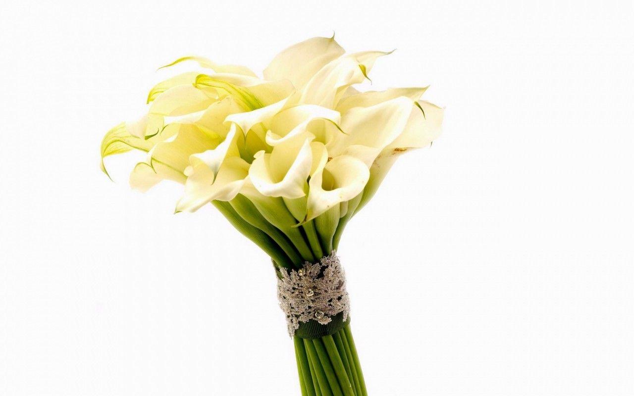 1280x800 Calla Lily Bouquet wallpaper. Calla Lily Bouquet