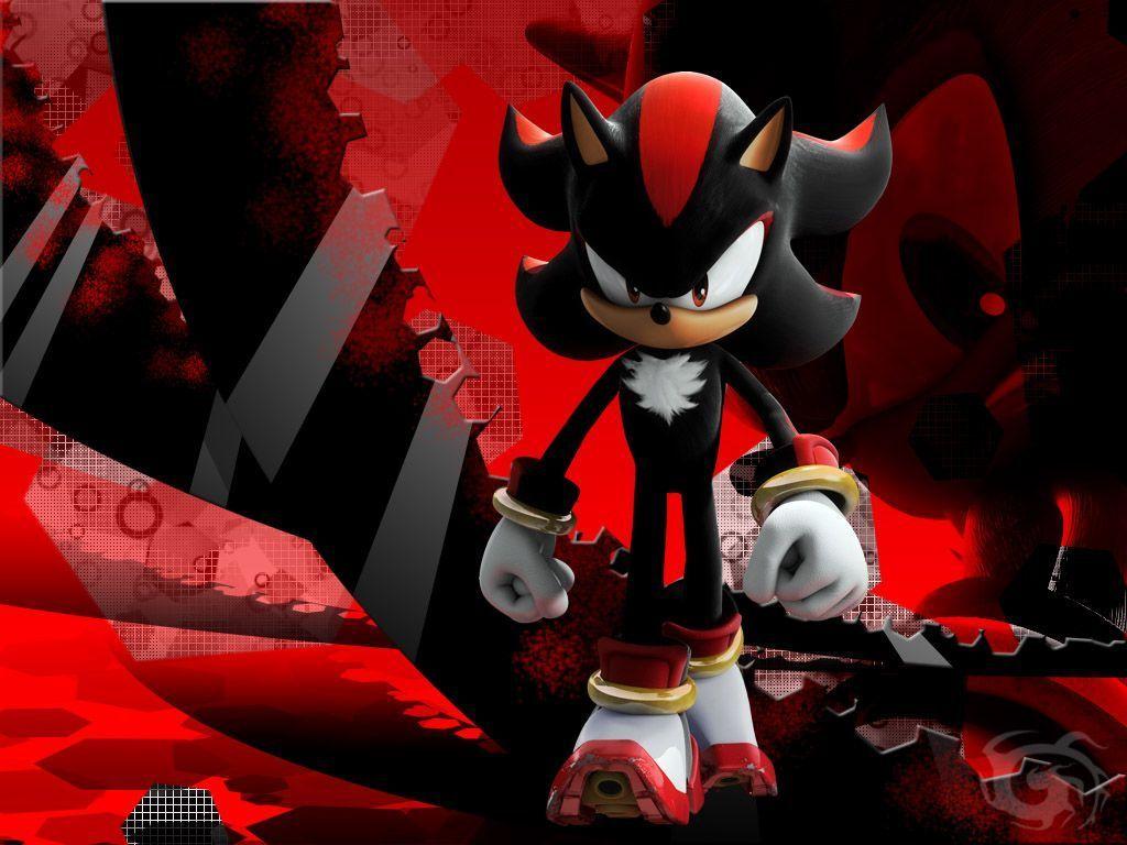 1024x768 Sonic And Shadow Wallpaper