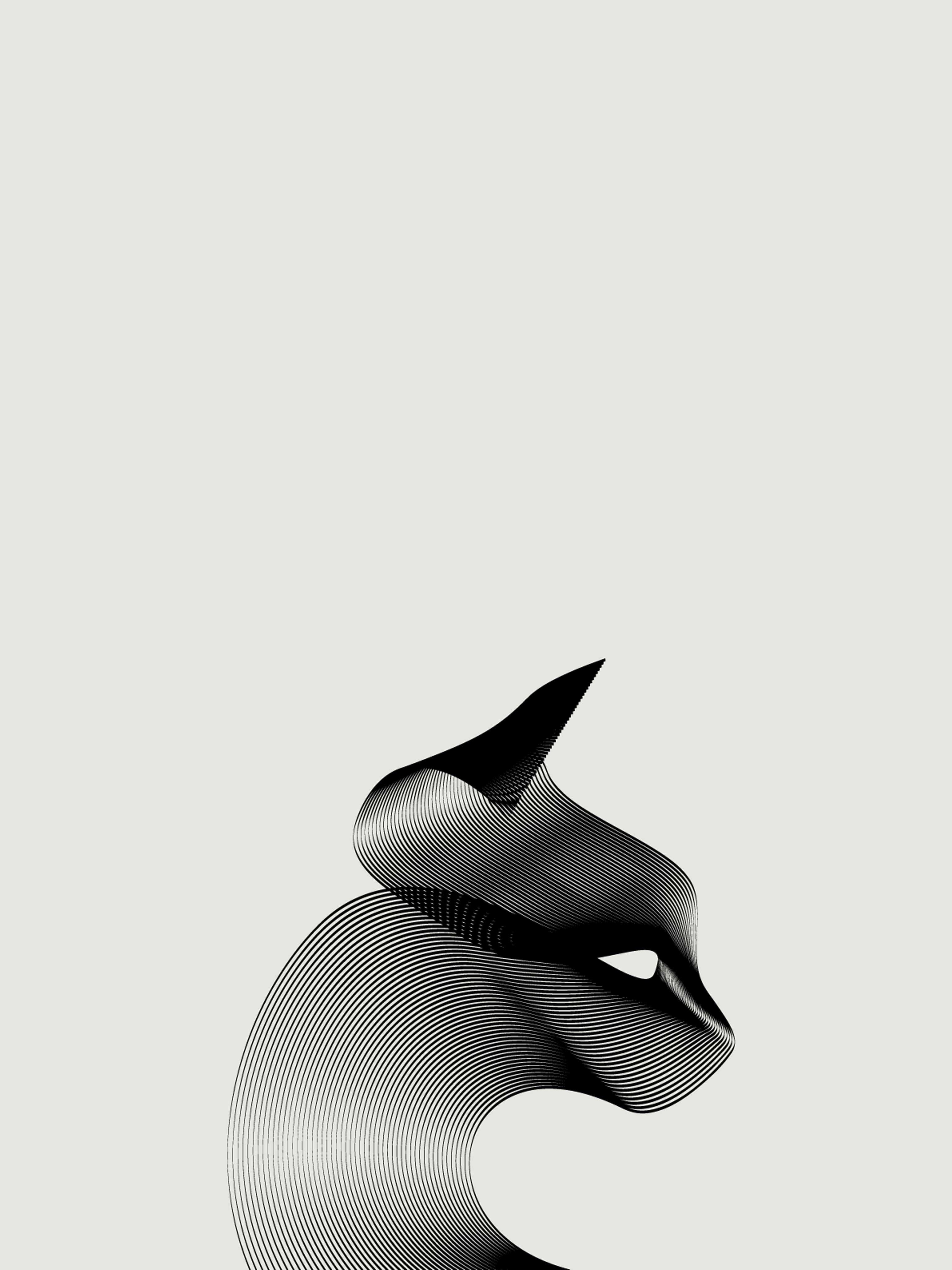 3072x4096 Cat Wallpaper Minimal