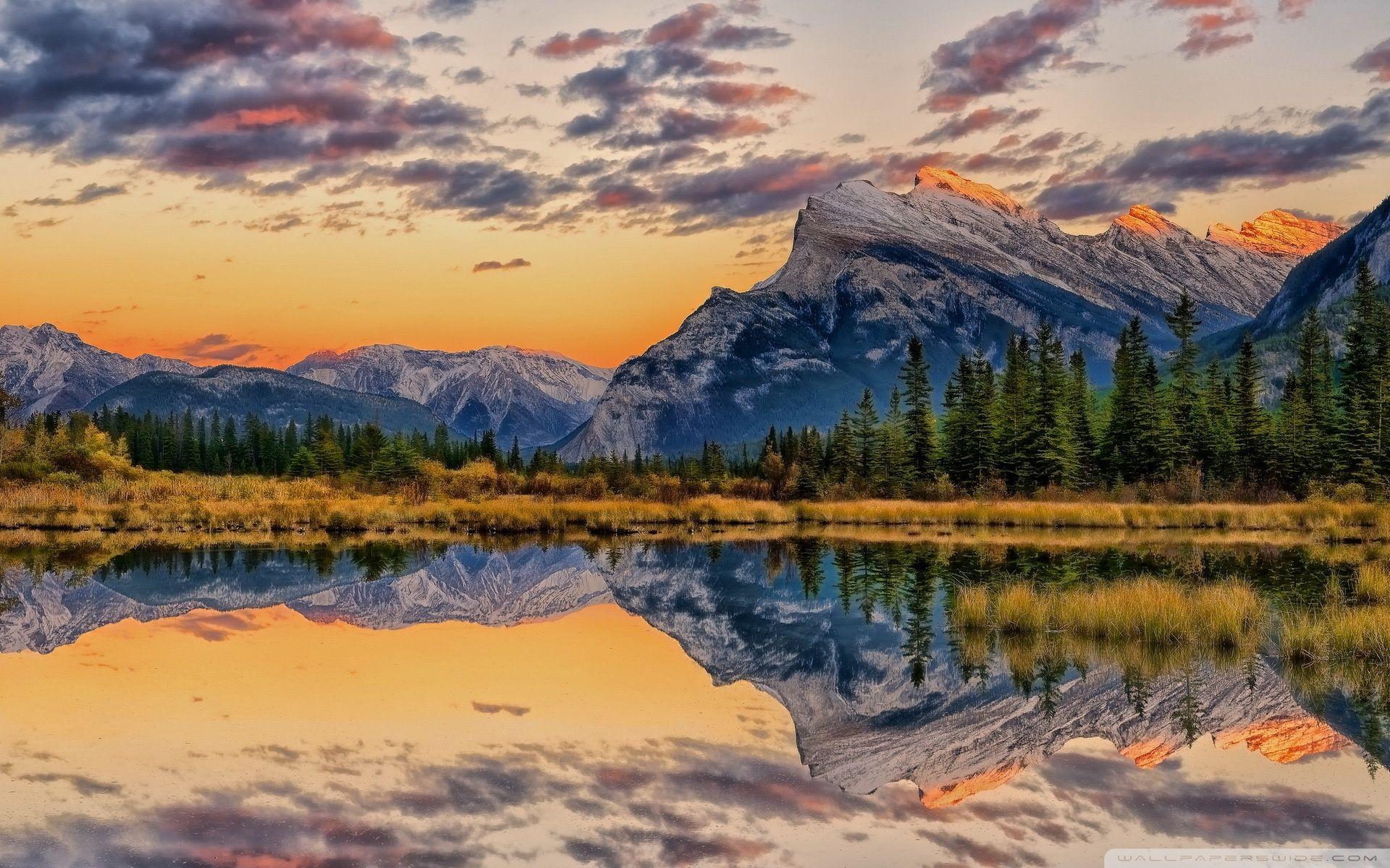 1920x1200 Breathtaking Nature Ultra HD Desktop Background Wallpaper for 4K UHD TV : Tablet