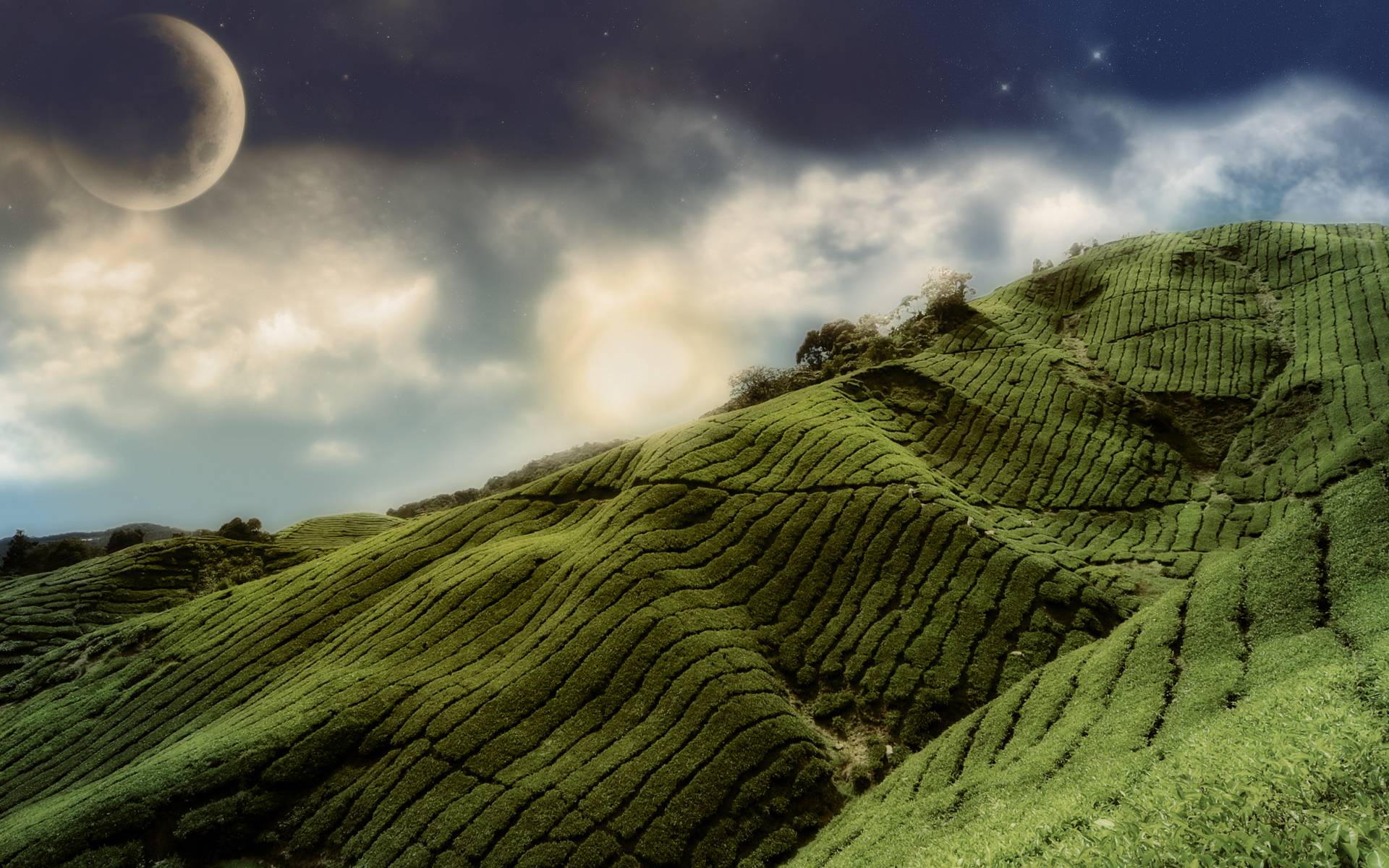 1920x1200 Breathtaking Wallpaper