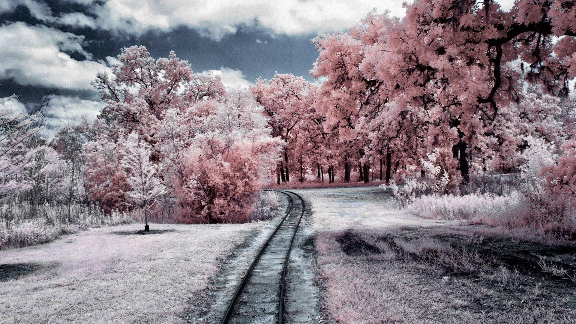 1920x1080 Free download Breathtaking Wallpaper [1920x1200] for your Desktop, Mobile & Tablet. Explore Breathtaking Wallpaper. National Geographic HD Wallpaper, Free Desktop Themes Wallpaper Downloads, Breathtaking Wallpaper Desktop