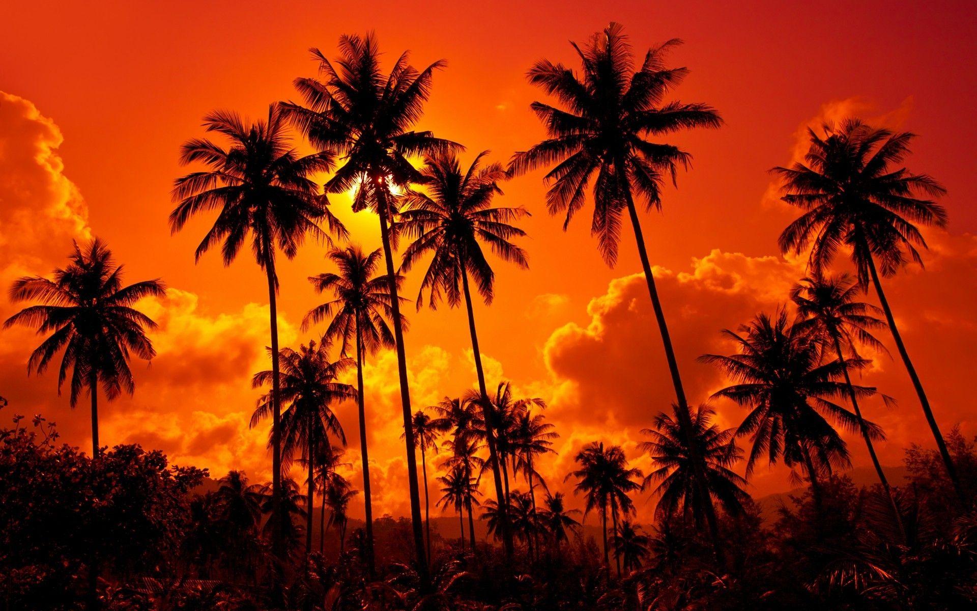 1920x1200 Sunset, Beach, High, Resolution, Wallpaper, For, Desktop