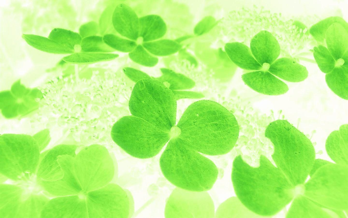 1440x900 Lucky Wallpaper Elegant Good Luck Wallpaper 2019