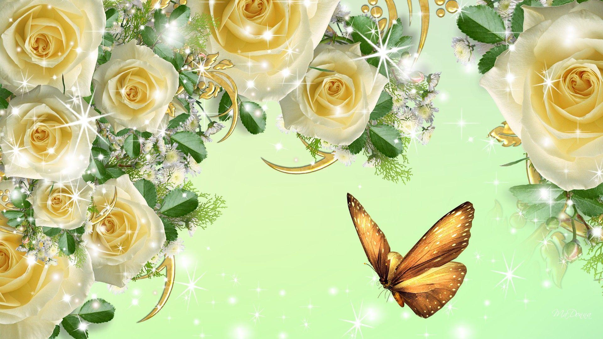 1920x1080 Butterfly's. Rose flower wallpaper, Flower wallpaper, Yellow rose