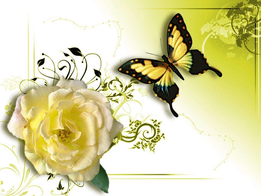 1024x768 Floral Yellow Flower Rose Butterfly Artwork Beauty Rose