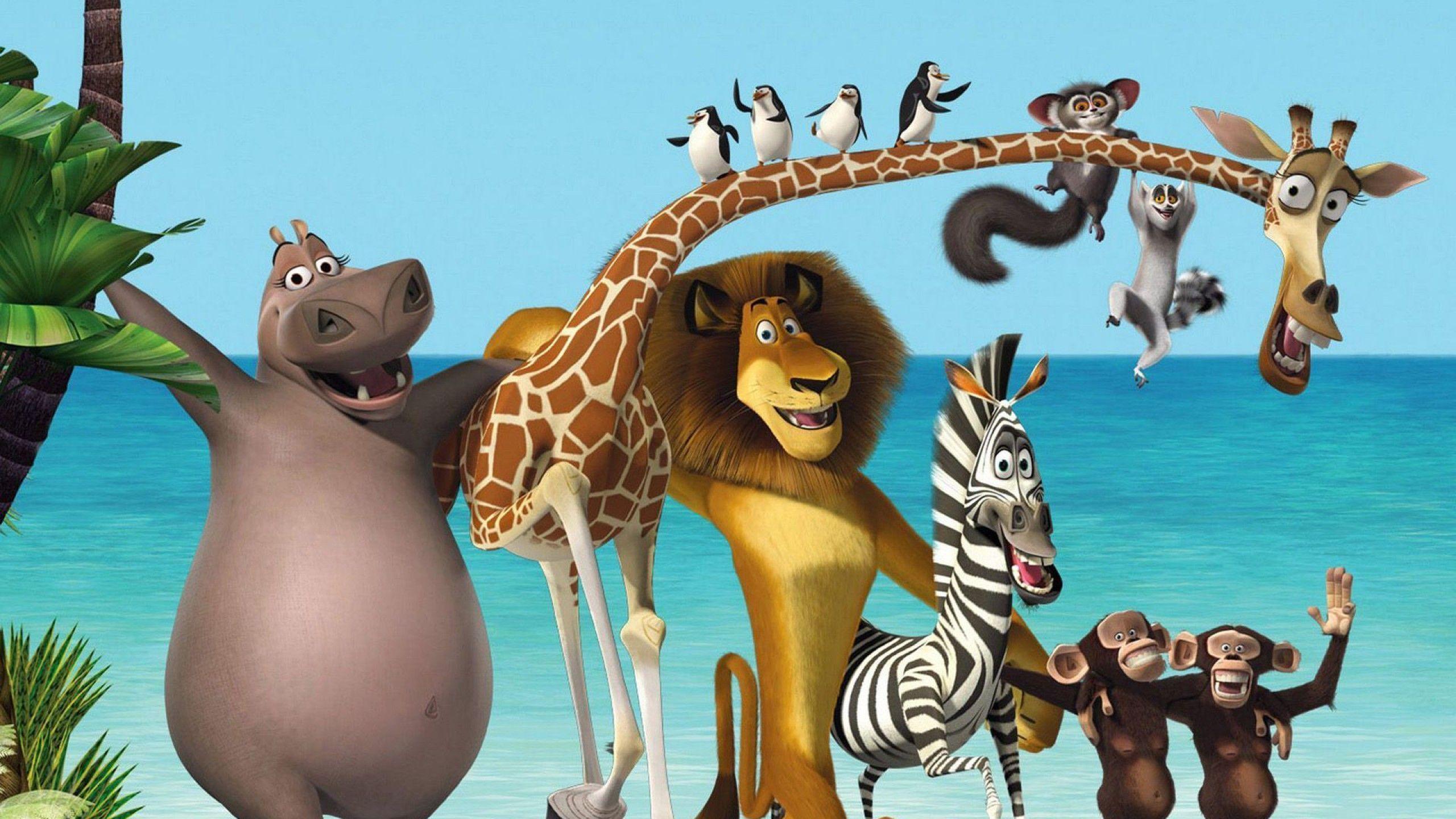 2560x1440 Madagascar Cartoon wallpaper. Tarjetas de invitación, Cumpleaños