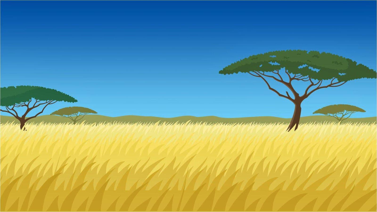 1600x901 Wallpaper Safari