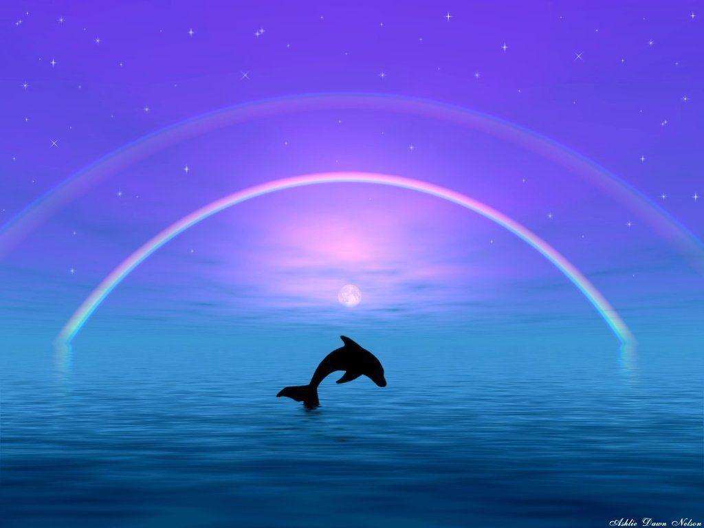 Jumping dolphin Live Wallpaper - free download