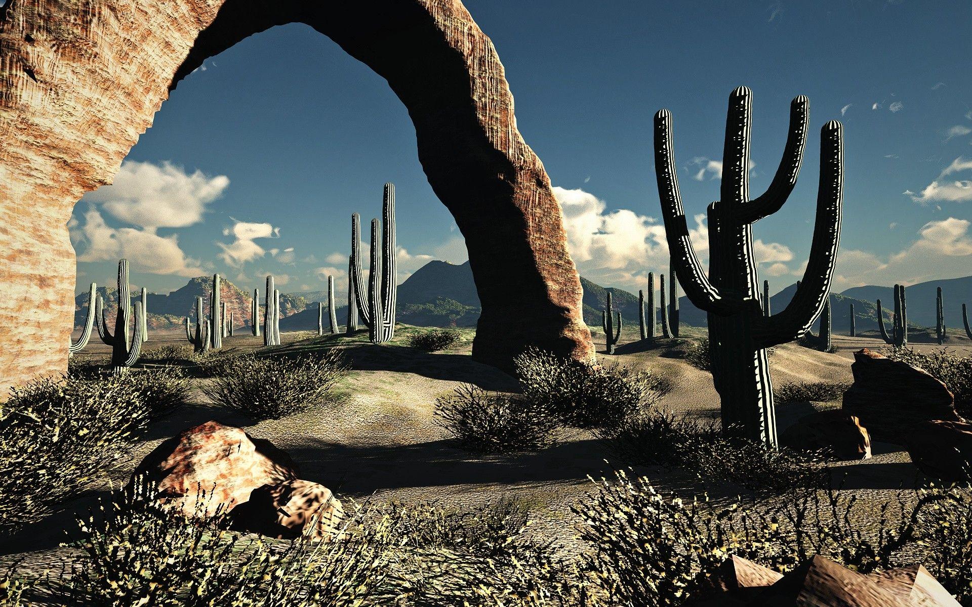 1920x1200 landscapes, Nature, Desert, Cactus Wallpaper HD / Desktop