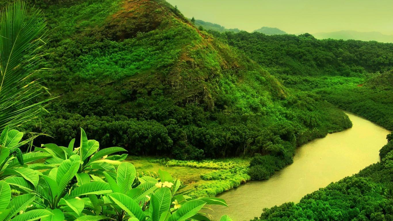 1366x768 4d Live Wallpaper HD, Picture