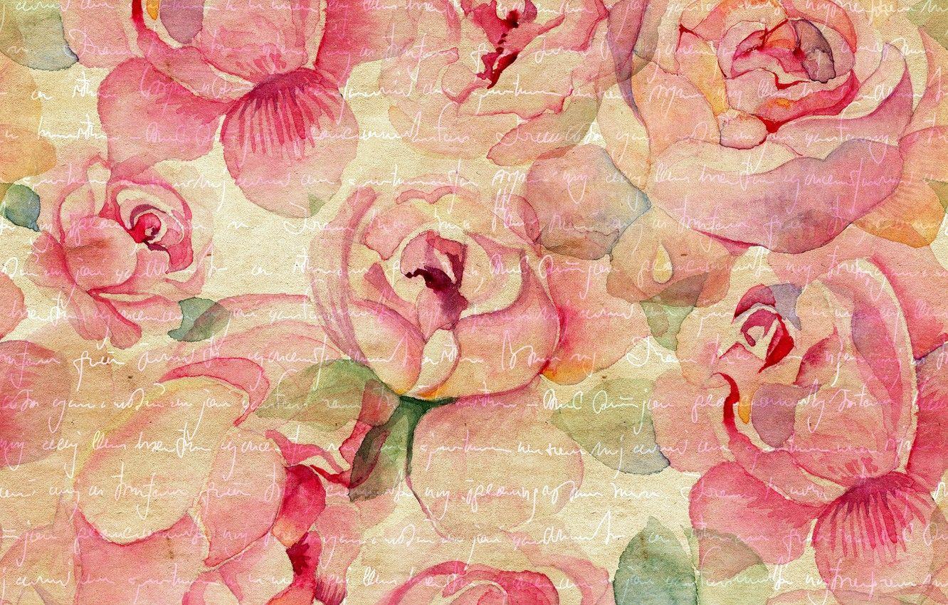 Vintage Peonies Wallpapers - Top Free Vintage Peonies Backgrounds