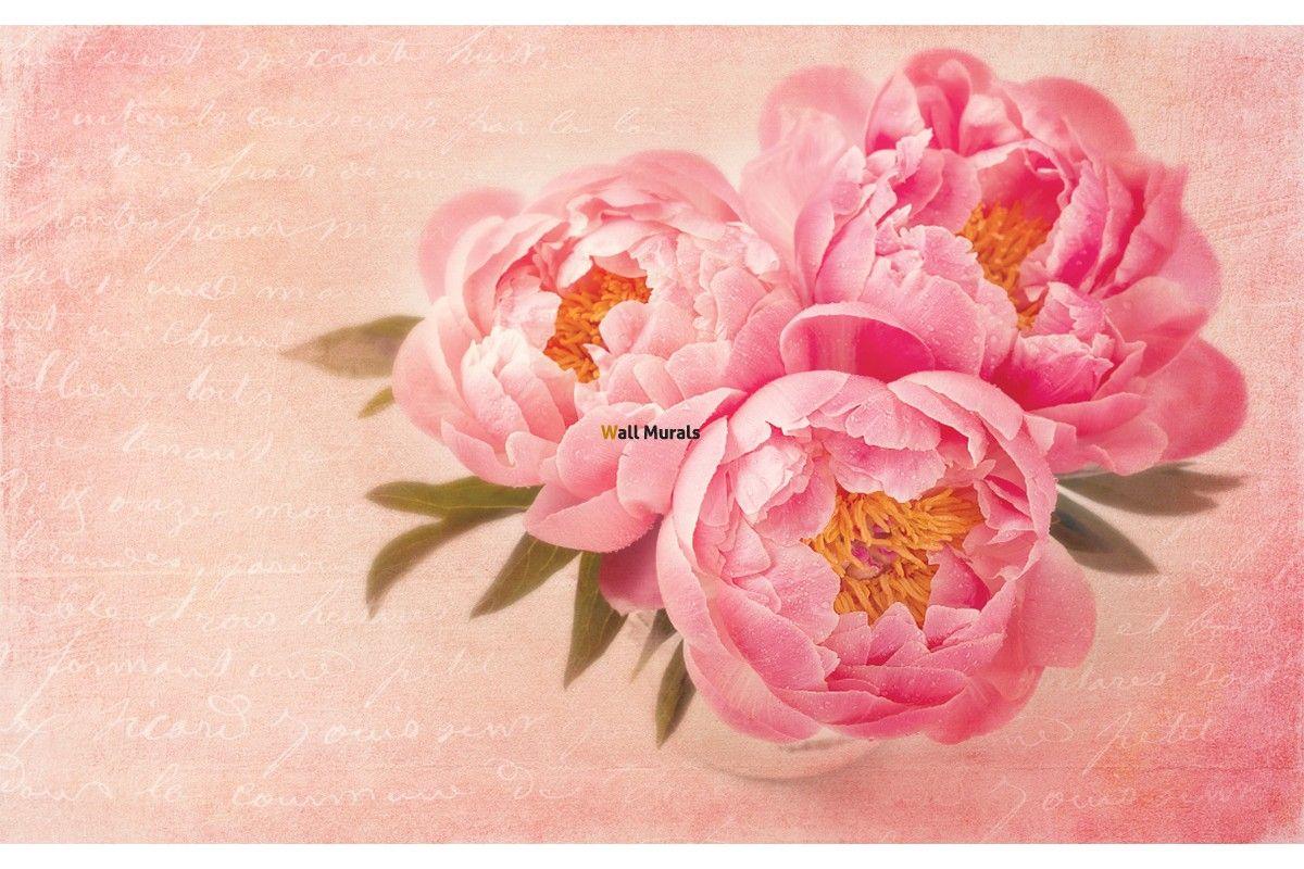 Vintage Peonies Wallpapers - Top Free Vintage Peonies Backgrounds