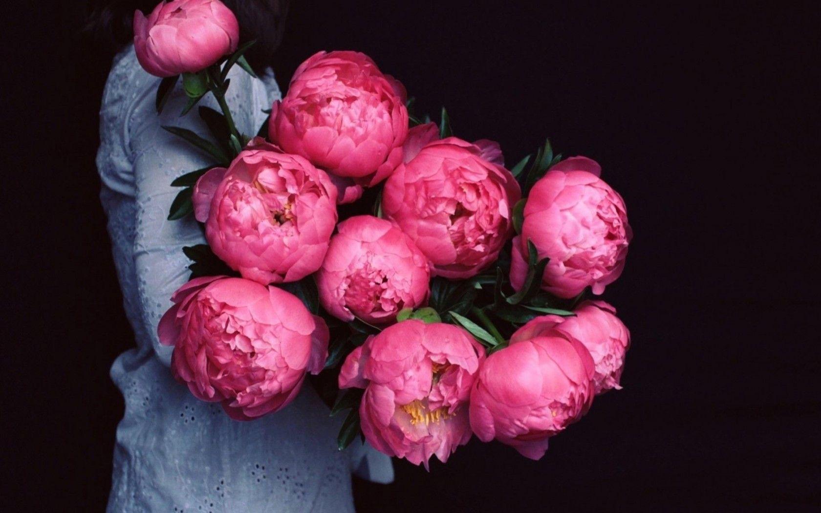1680x1050 Peonies Wallpaper Desktop