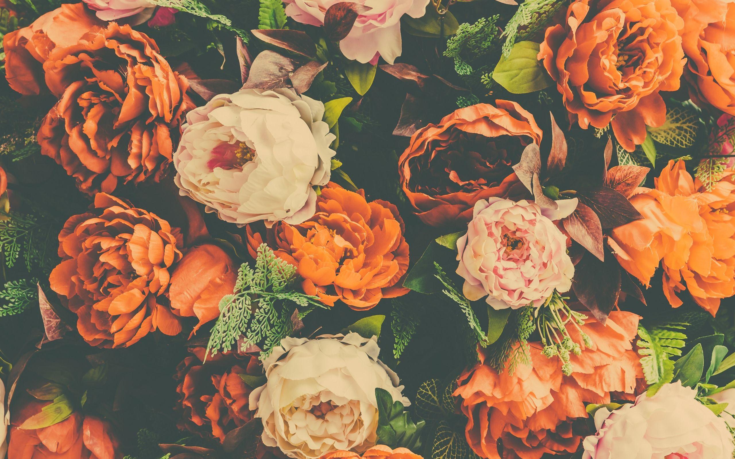 2560x1600 Download wallpaper orange peonies, retro floral background