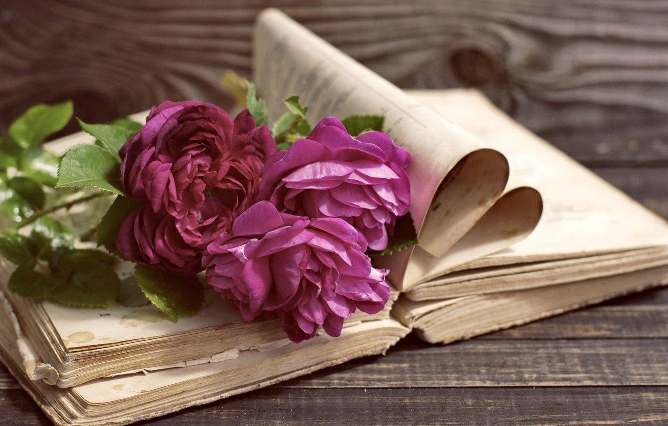 1332x850 Wallpaper vintage, wood, flowers, beautiful, peonies, purple, book