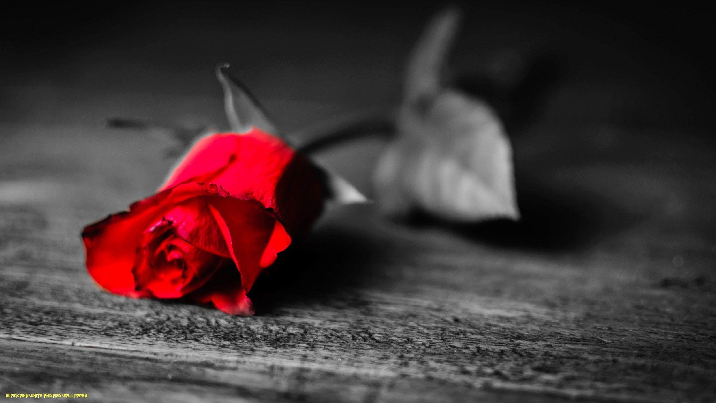 2483x1396 Free HD Black And Red Wallpaper