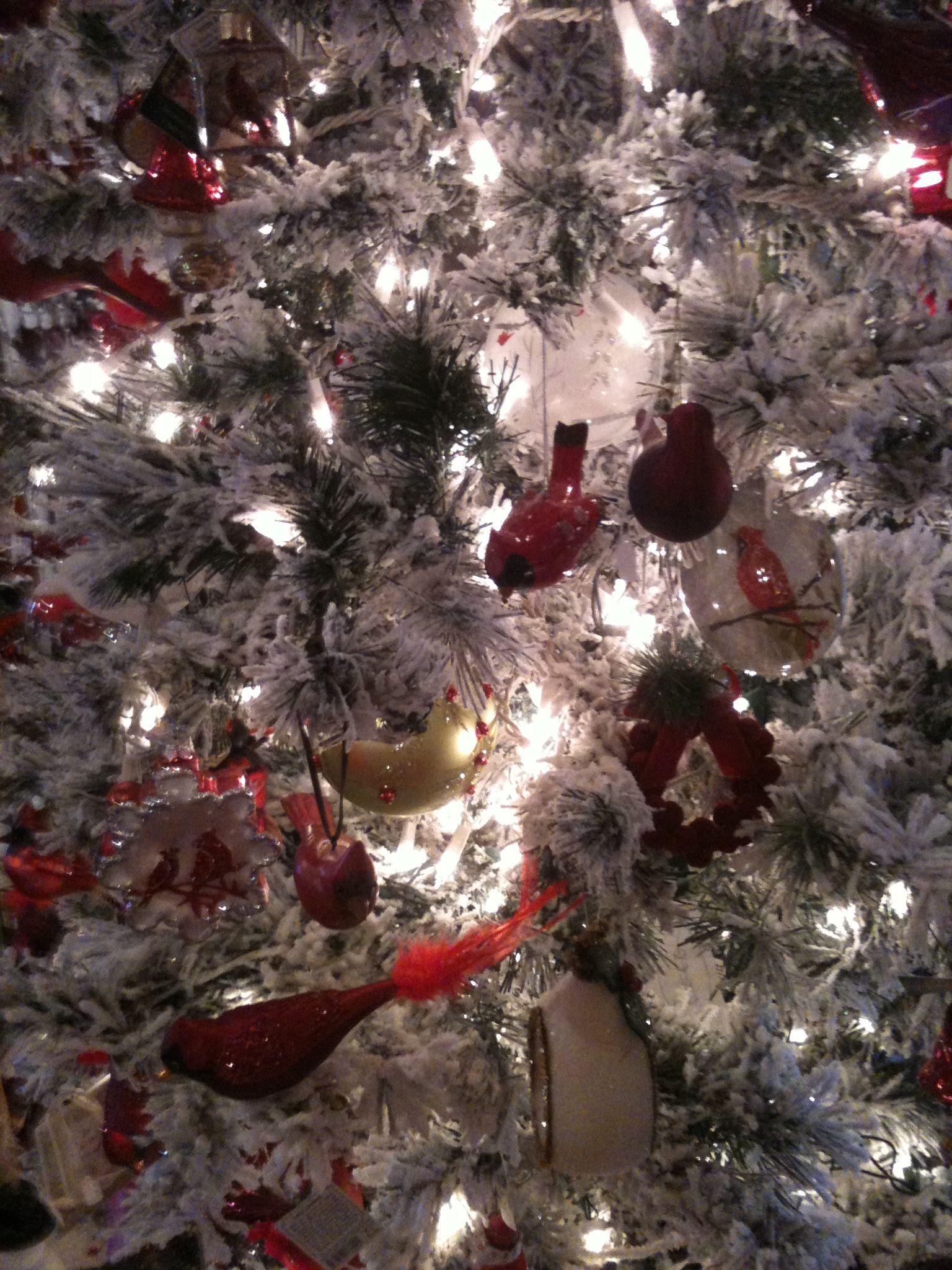 1536x2048 Yule Log Cabin Closeup Of Cardinal Tree. Using This For My
