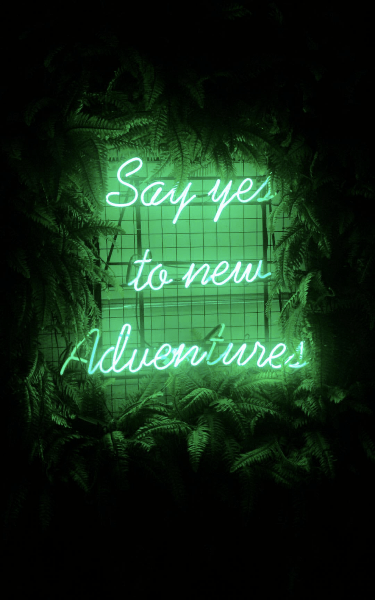 aesthetic dark wallpapers neon iphone lime adventure backgrounds phone cave colors verde wallpaperaccess rainbow matcha tea quote meryem yldz fundo