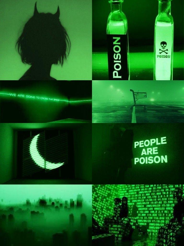 768x1024 Green Aesthetic Wallpaper
