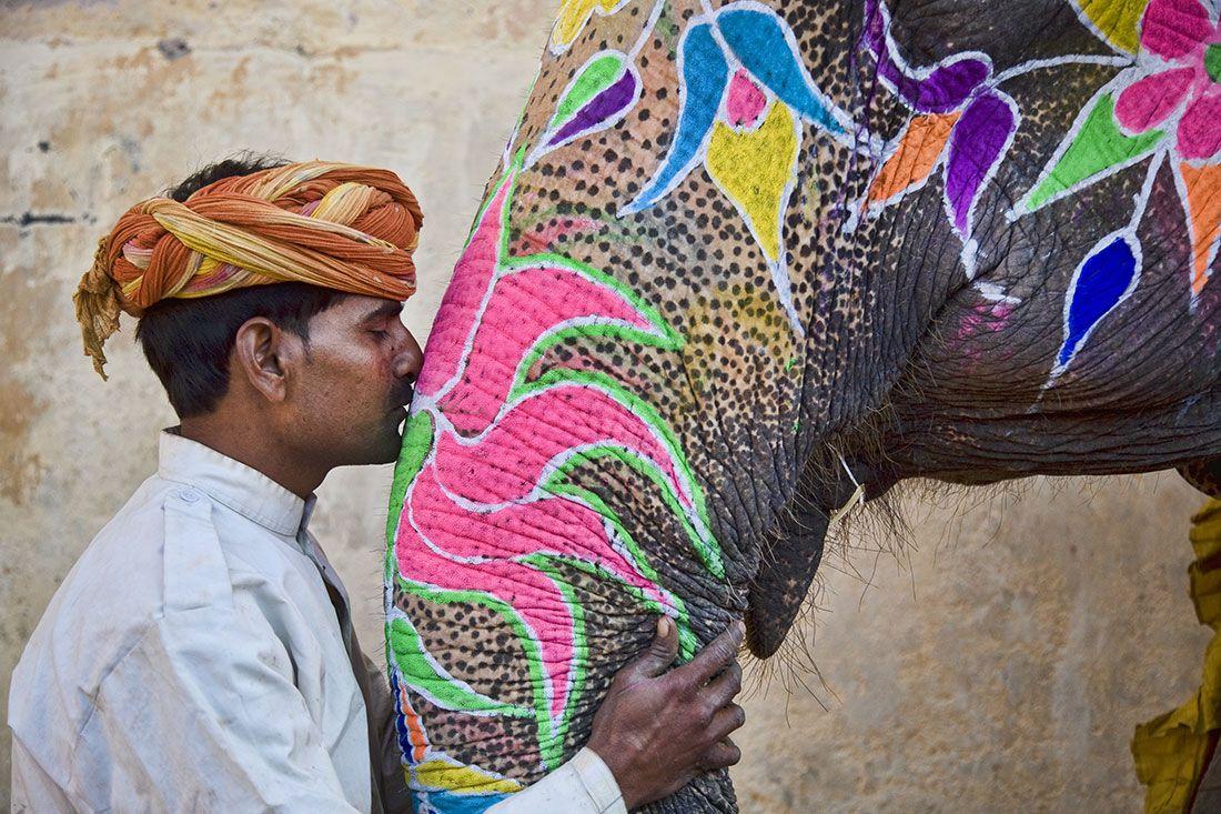 1100x733 Painted Elephant HD Desktop Wallpaper, Instagram photo, Background