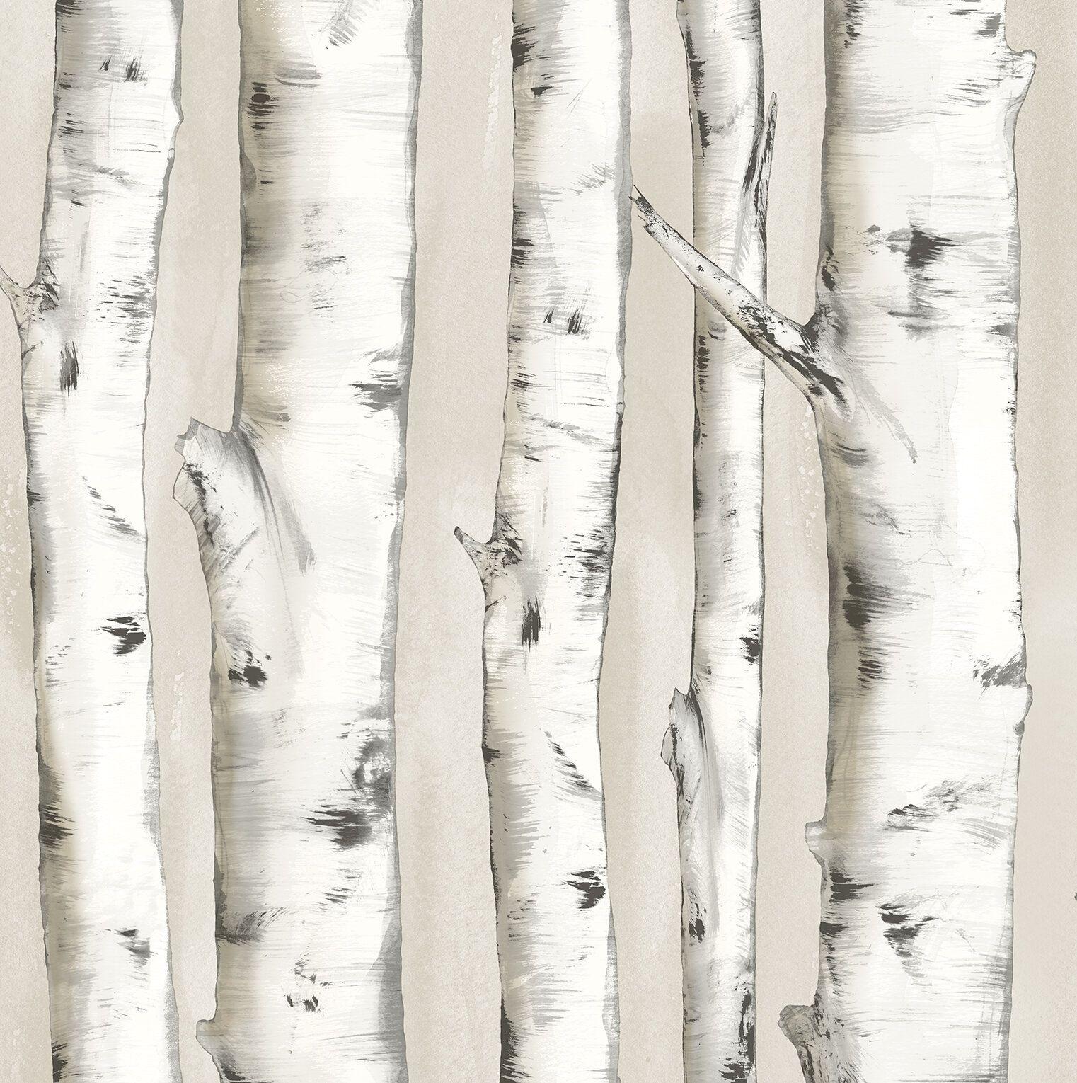 1522x1530 Union Rustic Ferrao Birch Tree 33' L x 20.4 W Wallpaper Roll & Reviews