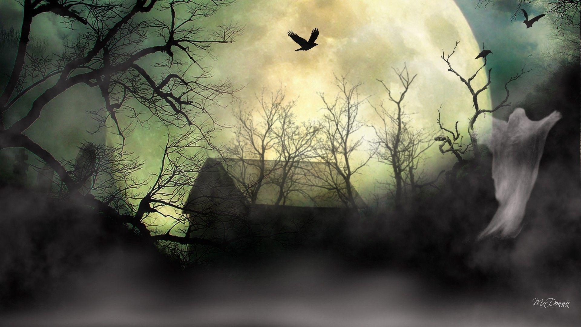 1920x1080 Haunted Forest wallpaper wallpaper Collections