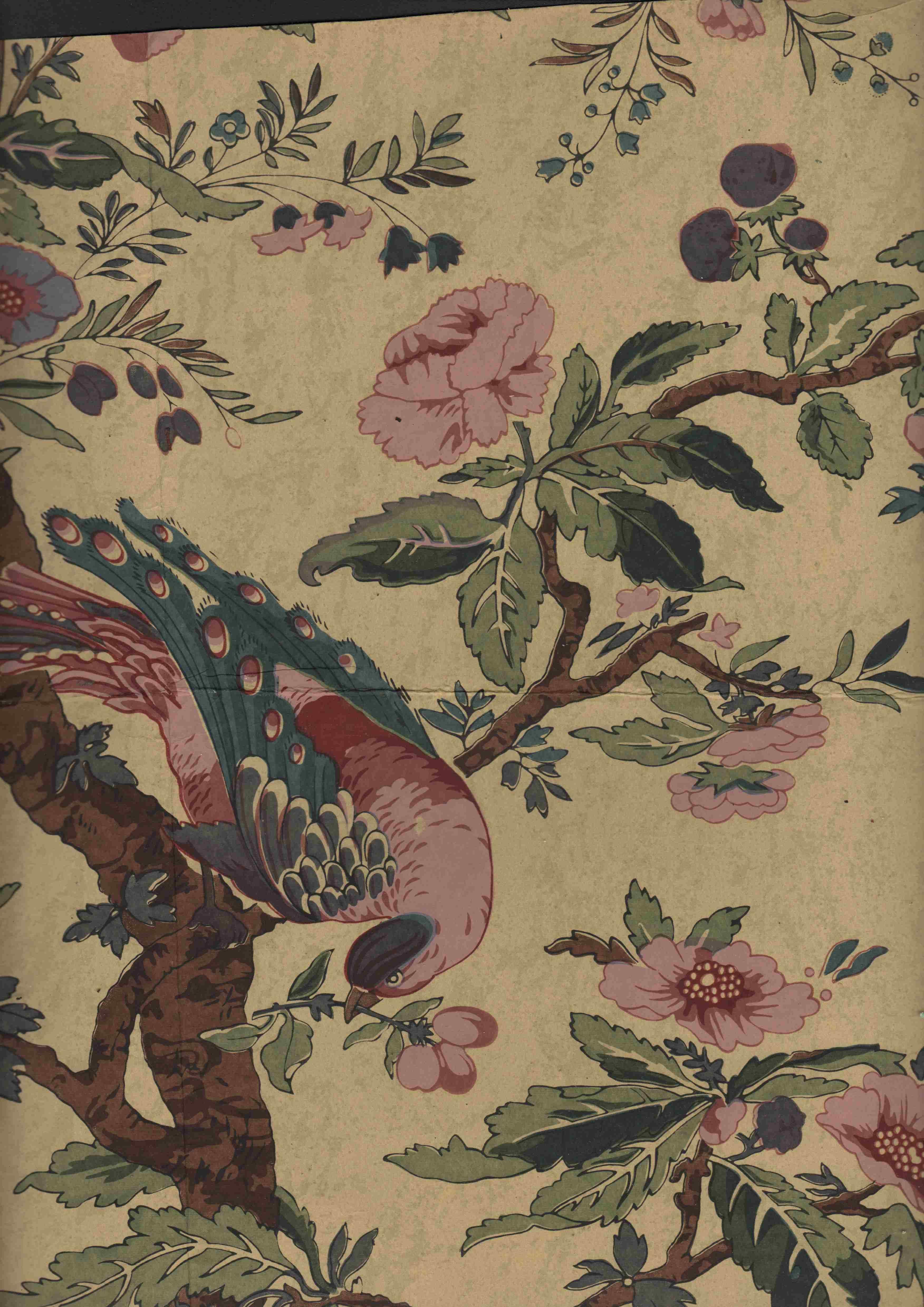 3504x4955 Ireland's Archive of Historic Wallpaper. David Skinner