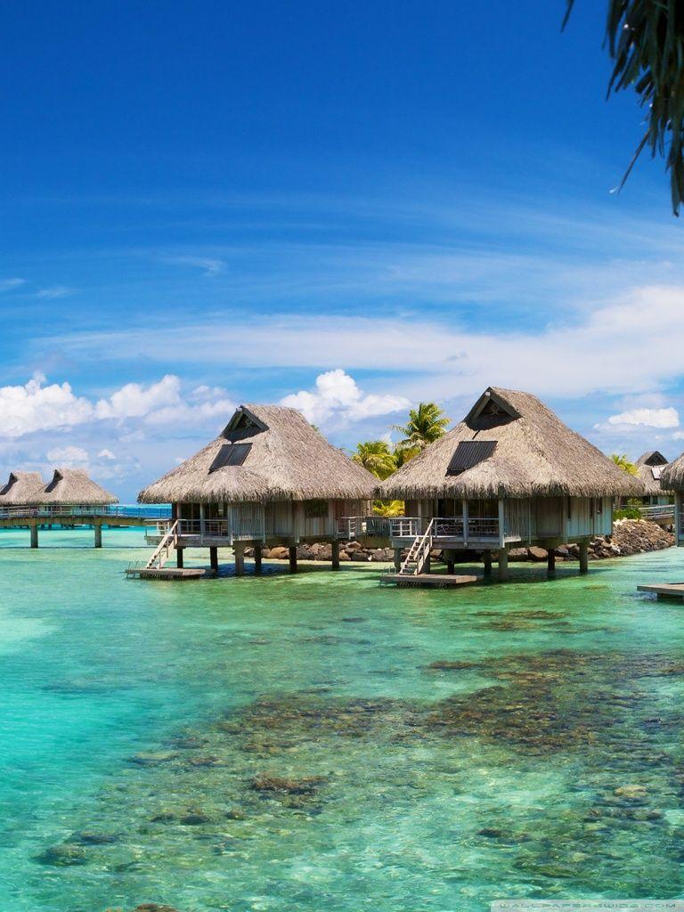 768x1024 Bora Bora Bungalows Ultra HD Desktop Background Wallpaper