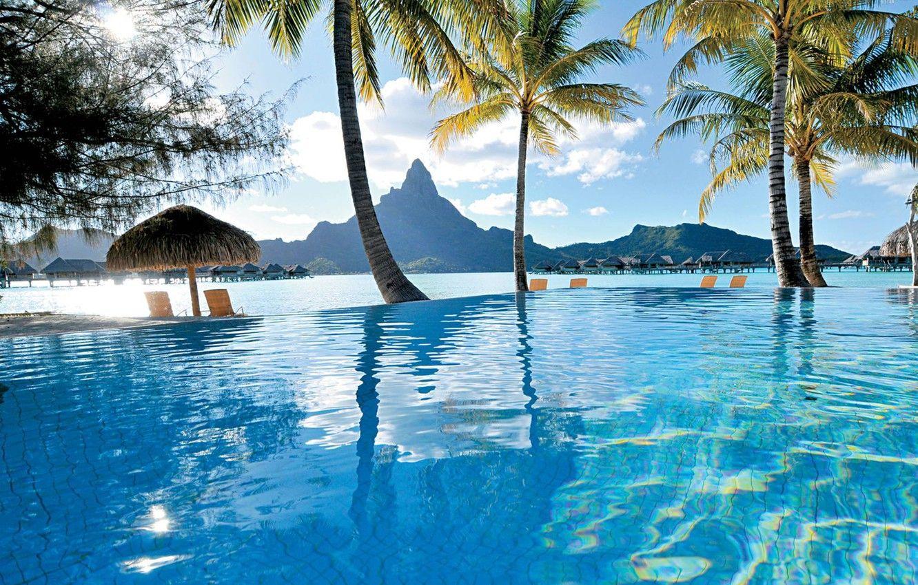 1332x850 Wallpaper Palm Trees, The Ocean, Pool, Resort, French Polynesia, Bora Bora Image For Desktop, Section природа