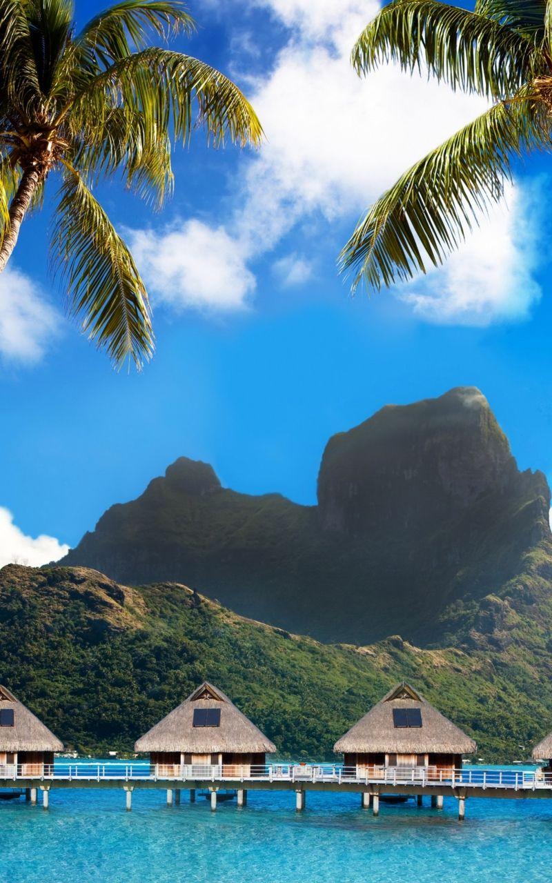 800x1280 Download Bora Bora, 5k, 4k wallpaper, French Polynesia, Best