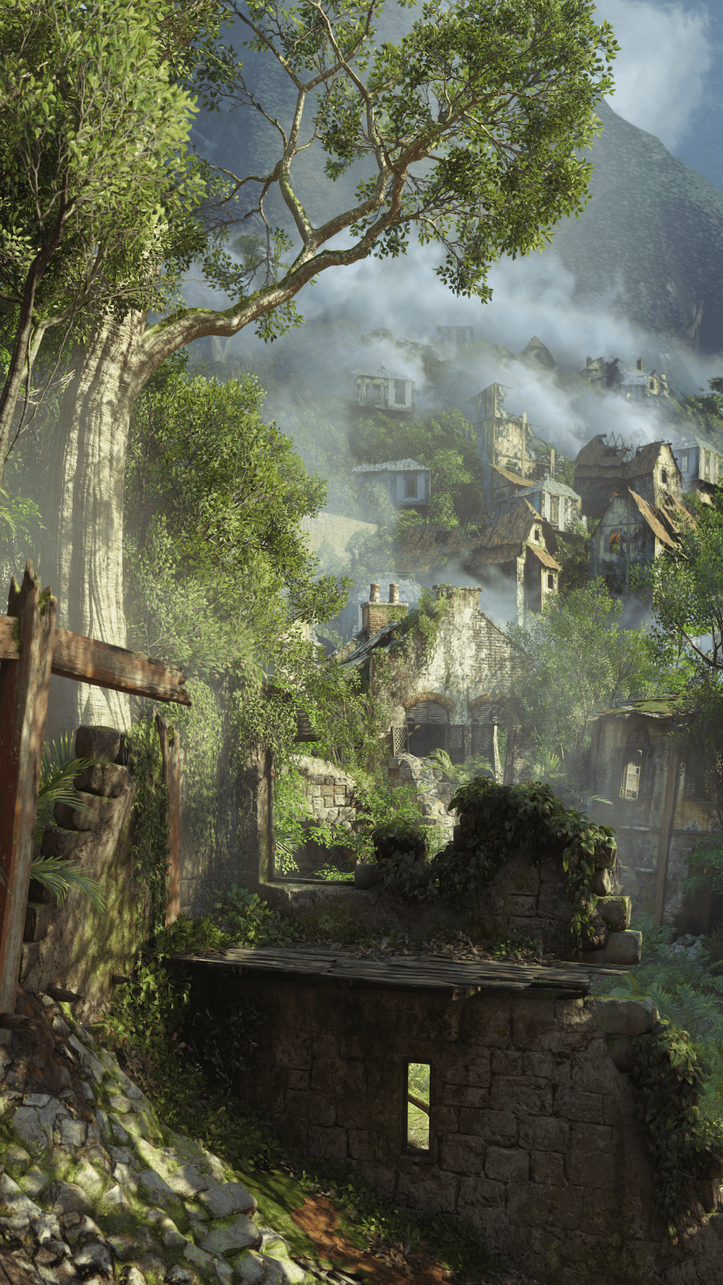 1440x2560 Uncharted Phone Wallpaper