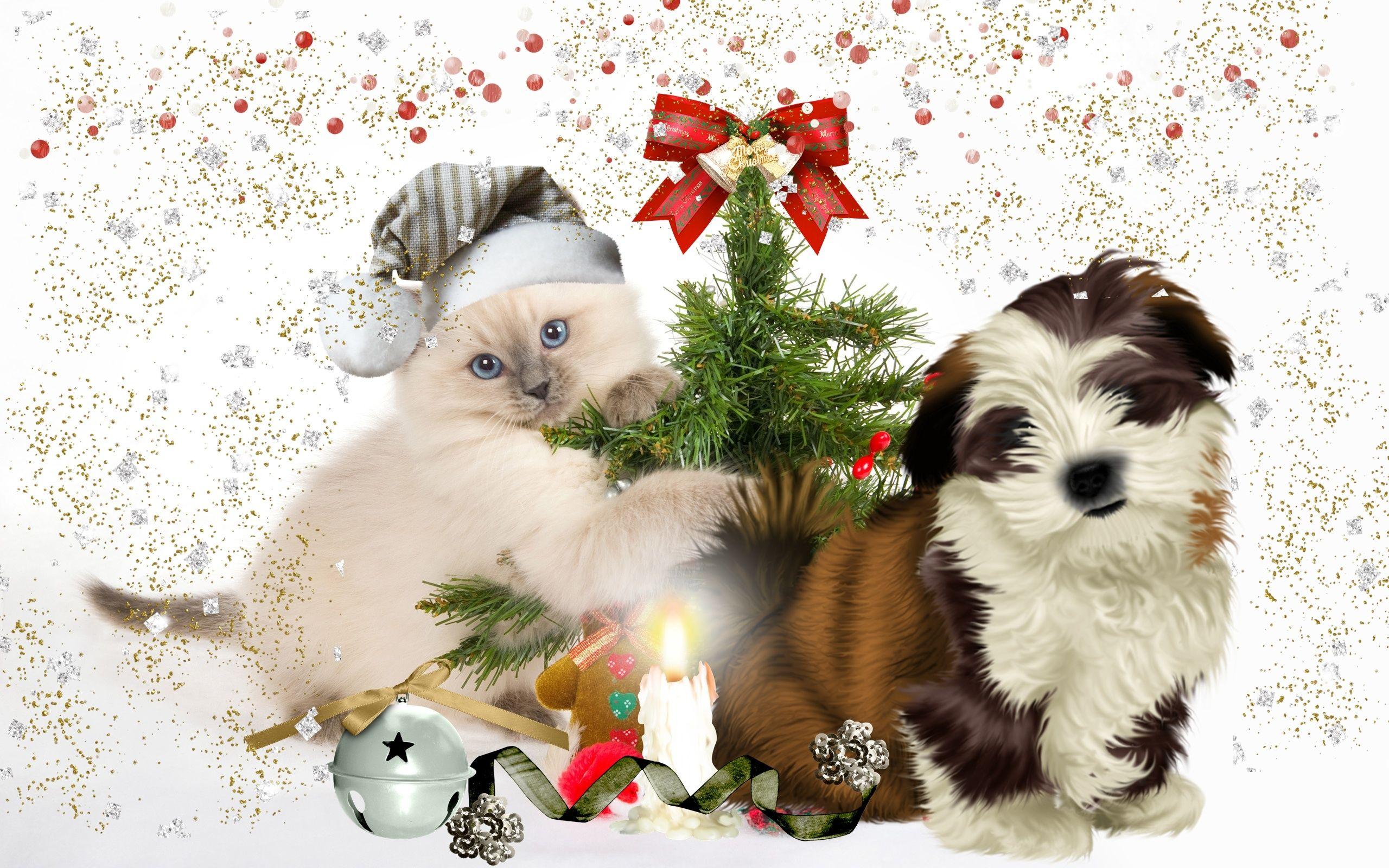 2560x1600 dog, Puppy, Kitten, Tree Wallpaper HD / Desktop and Mobile