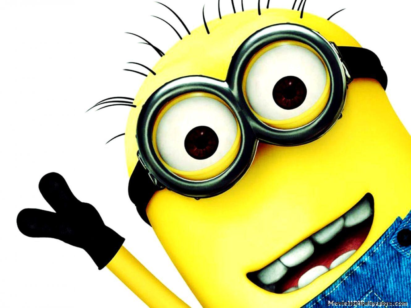 1330x997 Despicable Me 2 Banana Background iPhone. Full HD Wallpaper