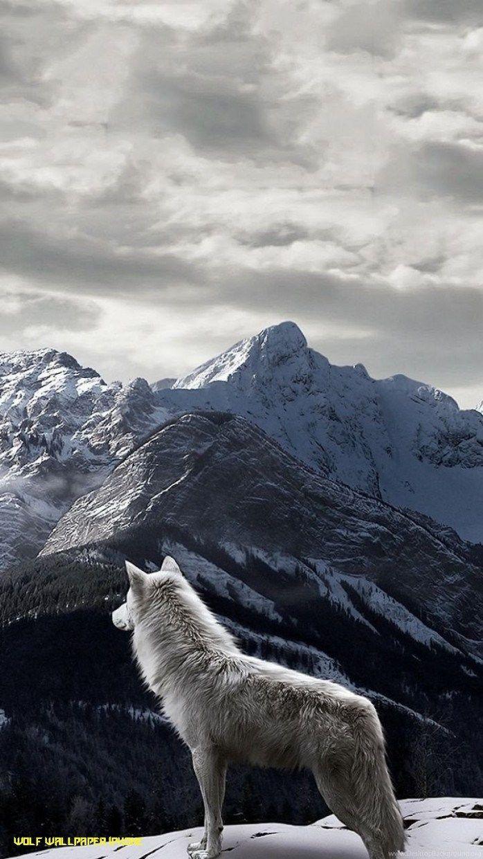698x1241 Wolf iPhone Wallpaper
