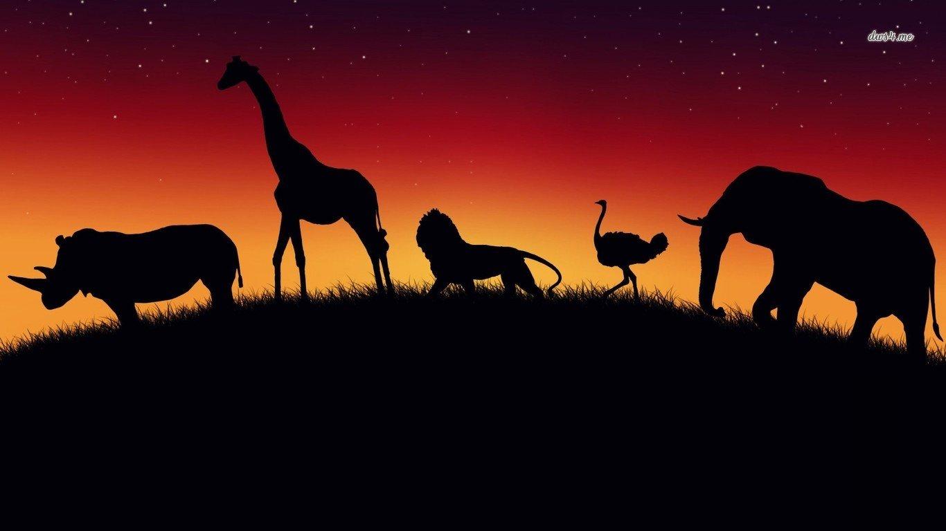 1366x768 Wildlife wallpaper 1366x768 (laptop) desktop background