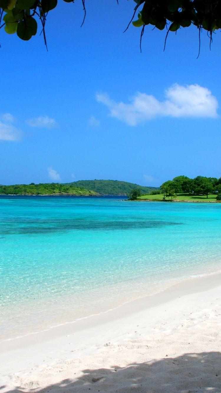 750x1334 Maldives tropical beach sand summer palm trees Free Download