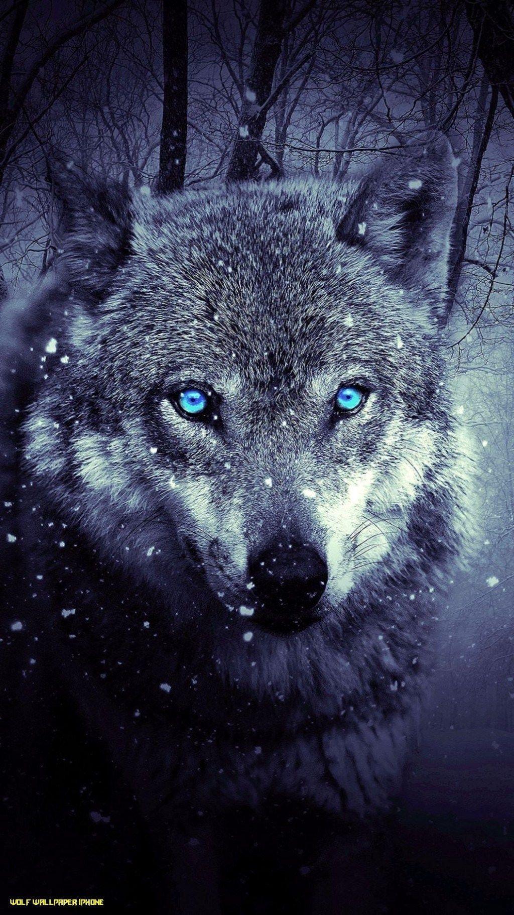 1024x1822 iPhone 10 Wolf HD Wallpaper