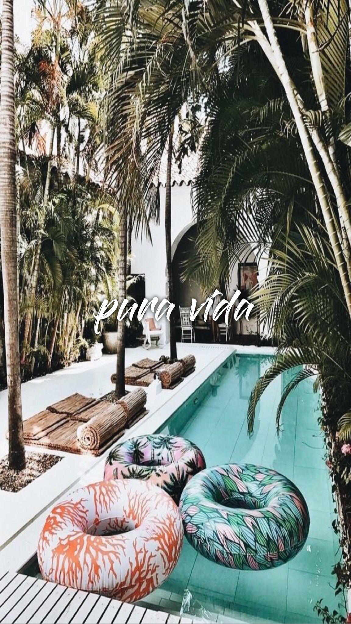 1152x2048 Tropical Aesthetic Wallpaper