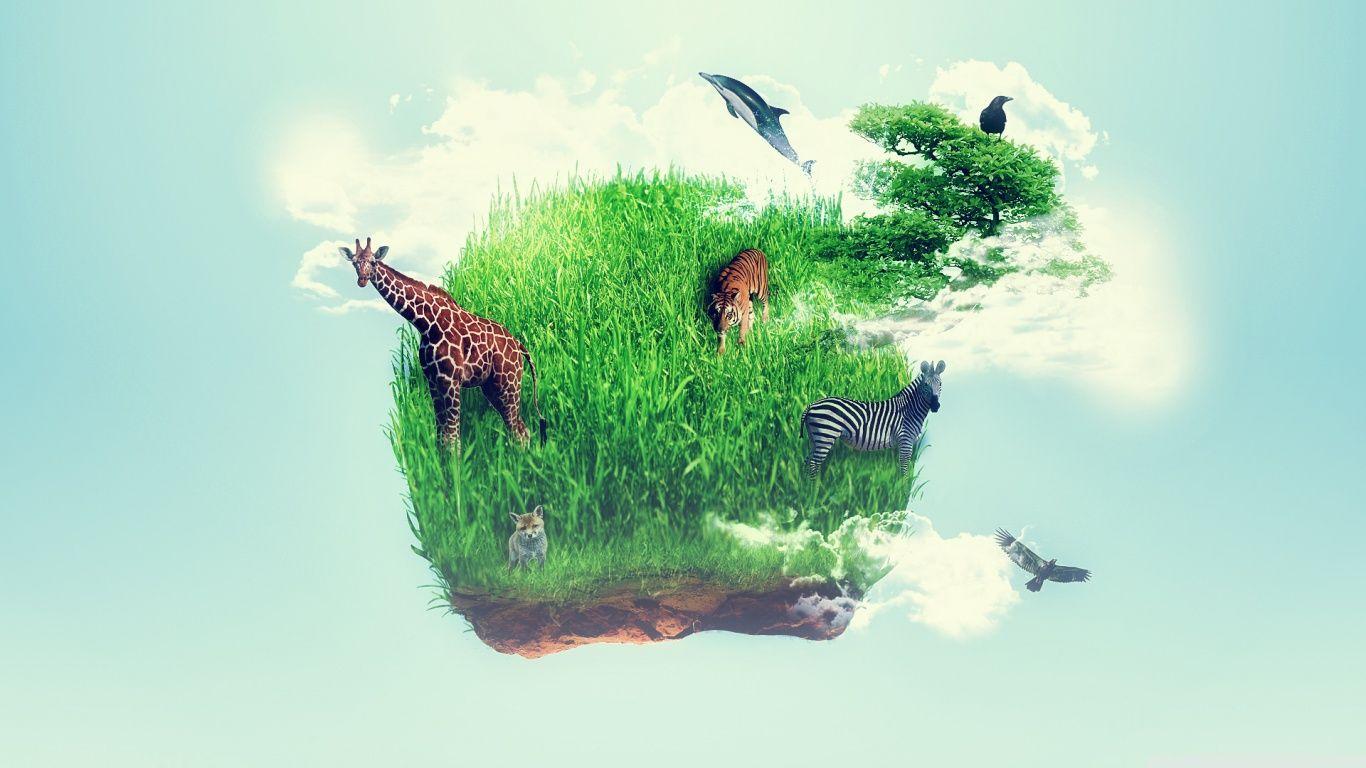 1366x768 Wildlife Ultra HD Desktop Background Wallpaper for 4K UHD TV