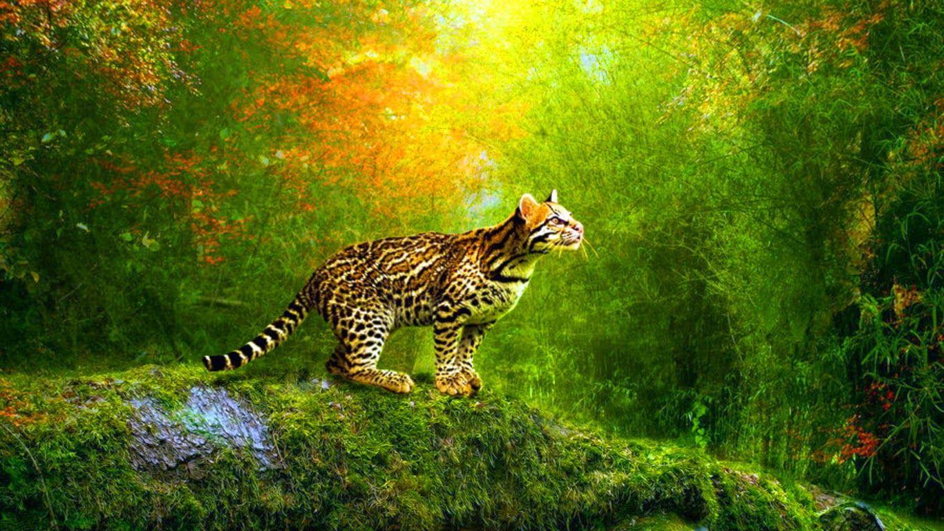 1366x768 Free 3D wallpaperx768